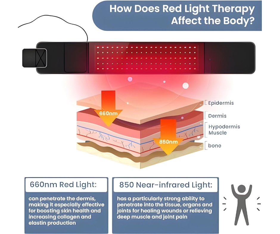 InfraLuxe™- Infrared Light Therapy Wrap Belt for Pain Relief